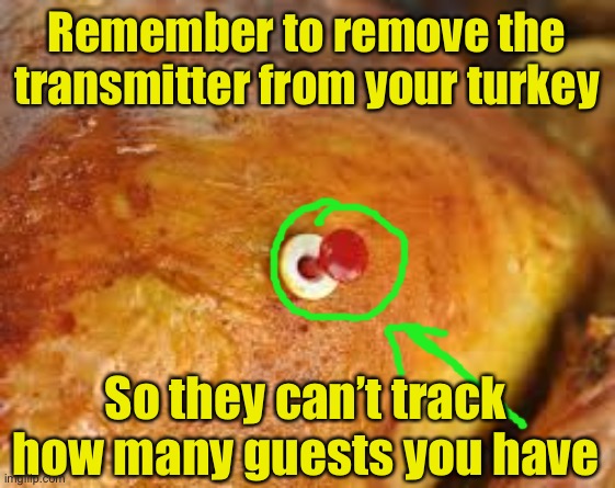 Pandemic holiday hack | Remember to remove the transmitter from your turkey; So they can’t track how many guests you have | image tagged in covid-19,thanksgiving,2020 sucks | made w/ Imgflip meme maker