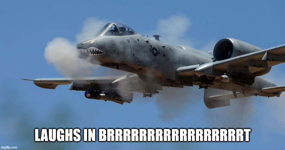 Laughs in brrrrrrrrrt | LAUGHS IN BRRRRRRRRRRRRRRRRRT | image tagged in funny | made w/ Imgflip meme maker