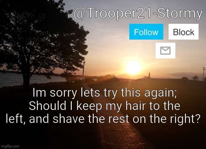 Just something Im thinking about | Im sorry lets try this again; Should I keep my hair to the left, and shave the rest on the right? | image tagged in trooper21-stormy | made w/ Imgflip meme maker