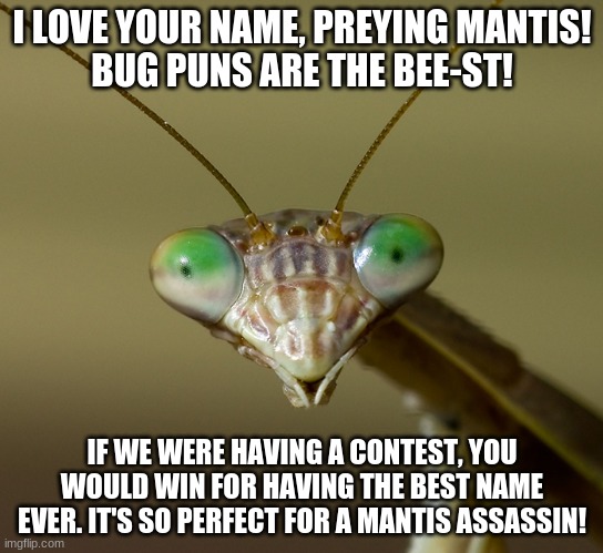 The queen approves. | I LOVE YOUR NAME, PREYING MANTIS!
BUG PUNS ARE THE BEE-ST! IF WE WERE HAVING A CONTEST, YOU WOULD WIN FOR HAVING THE BEST NAME EVER. IT'S SO PERFECT FOR A MANTIS ASSASSIN! | image tagged in praying mantis head | made w/ Imgflip meme maker