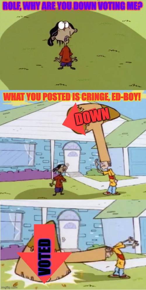 Rolf has down voted your meme! | ROLF, WHY ARE YOU DOWN VOTING ME? WHAT YOU POSTED IS CRINGE, ED-BOY! DOWN; VOTED | image tagged in rolf's hat of discipline,downvote,ed edd n eddy rolf,punishment,bad jokes,cringe | made w/ Imgflip meme maker