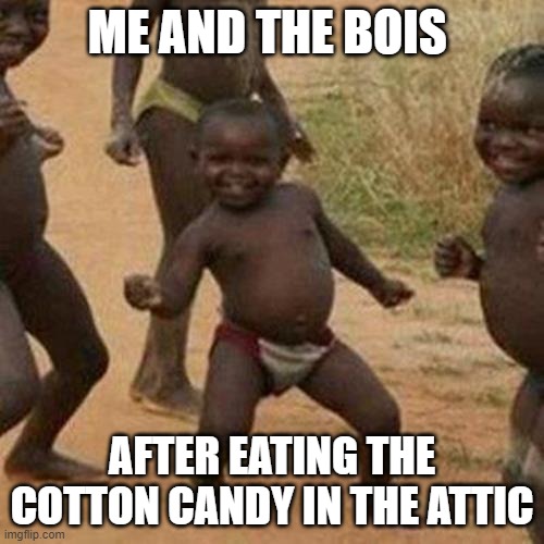 Third World Success Kid Meme | ME AND THE BOIS; AFTER EATING THE COTTON CANDY IN THE ATTIC | image tagged in memes,third world success kid | made w/ Imgflip meme maker