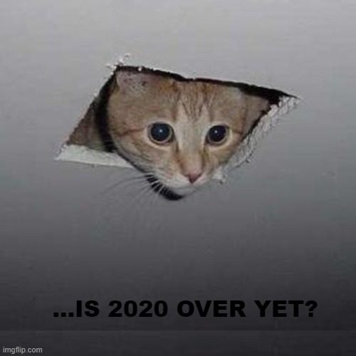 ??? | ...IS 2020 OVER YET? | image tagged in memes,ceiling cat,2020 sucks,cat,2020,new year | made w/ Imgflip meme maker