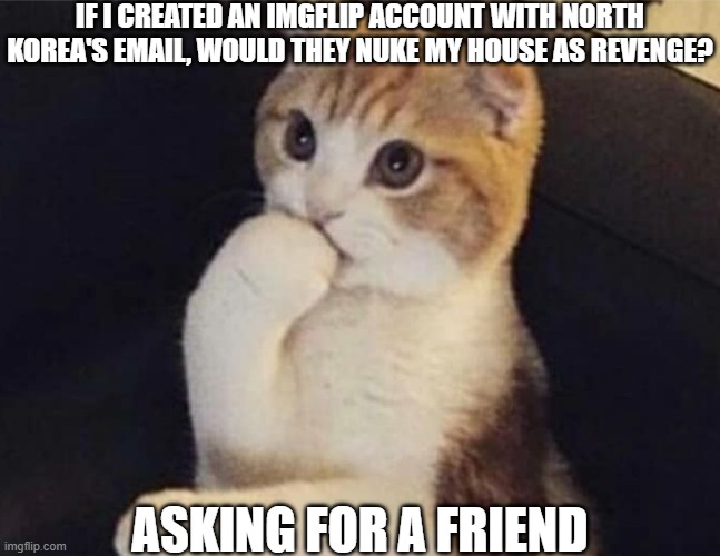 Thinking Cat  | IF I CREATED AN IMGFLIP ACCOUNT WITH NORTH KOREA'S EMAIL, WOULD THEY NUKE MY HOUSE AS REVENGE? ASKING FOR A FRIEND | image tagged in thinking cat | made w/ Imgflip meme maker