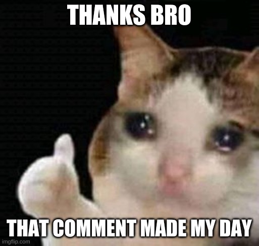 sad thumbs up cat | THANKS BRO THAT COMMENT MADE MY DAY | image tagged in sad thumbs up cat | made w/ Imgflip meme maker