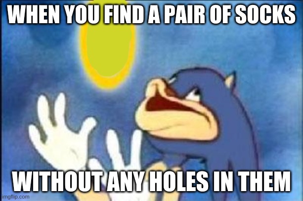 Socks | WHEN YOU FIND A PAIR OF SOCKS; WITHOUT ANY HOLES IN THEM | image tagged in sonic derp | made w/ Imgflip meme maker