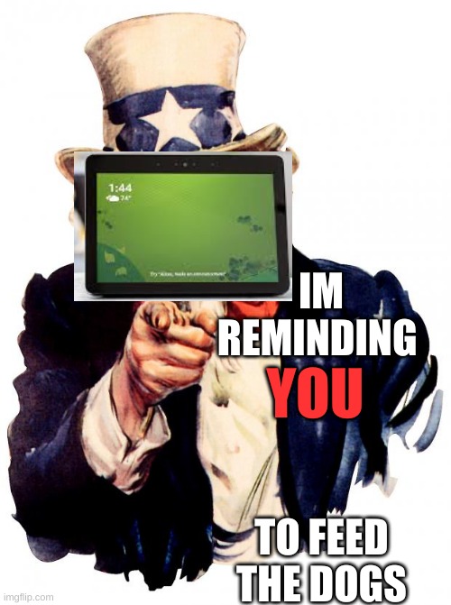 Uncle Sam | IM REMINDING; TO FEED THE DOGS; YOU | image tagged in memes,uncle sam | made w/ Imgflip meme maker