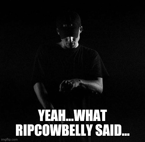 Compliments and torture go here | YEAH...WHAT RIPCOWBELLY SAID... | image tagged in nf ayyy | made w/ Imgflip meme maker