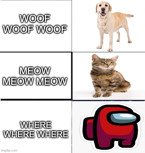 woof meow where | WOOF WOOF WOOF; MEOW MEOW MEOW; WHERE WHERE WHERE | image tagged in expanding brain 3 panels | made w/ Imgflip meme maker