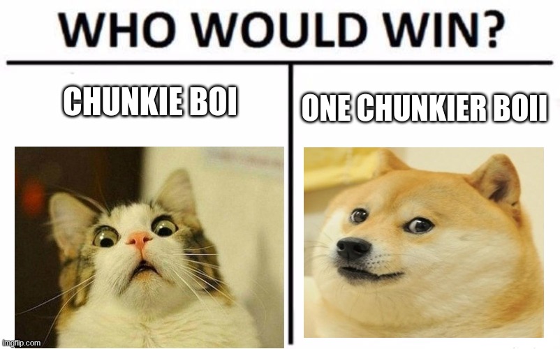 Who Would Win? Meme | CHUNKIE BOI; ONE CHUNKIER BOII | image tagged in memes,who would win | made w/ Imgflip meme maker