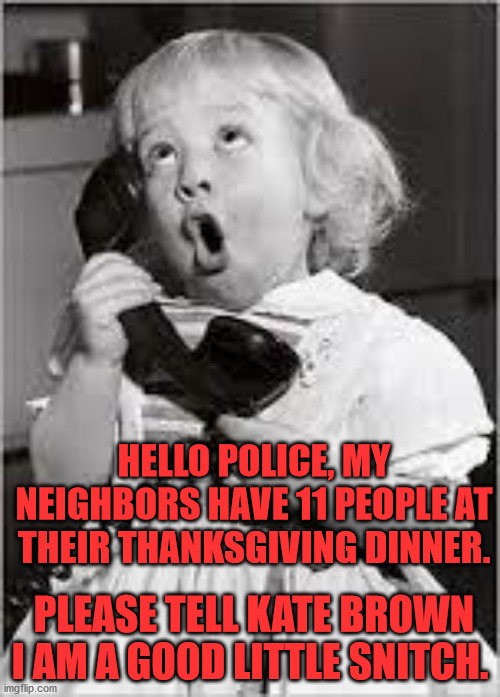 Phone snitch | HELLO POLICE, MY NEIGHBORS HAVE 11 PEOPLE AT THEIR THANKSGIVING DINNER. PLEASE TELL KATE BROWN I AM A GOOD LITTLE SNITCH. | image tagged in excited phone | made w/ Imgflip meme maker