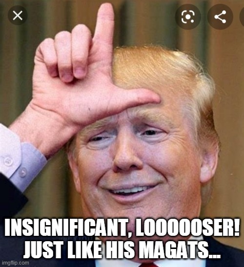 insignificant loooooser | INSIGNIFICANT, LOOOOOSER! JUST LIKE HIS MAGATS... | image tagged in b l o a t | made w/ Imgflip meme maker