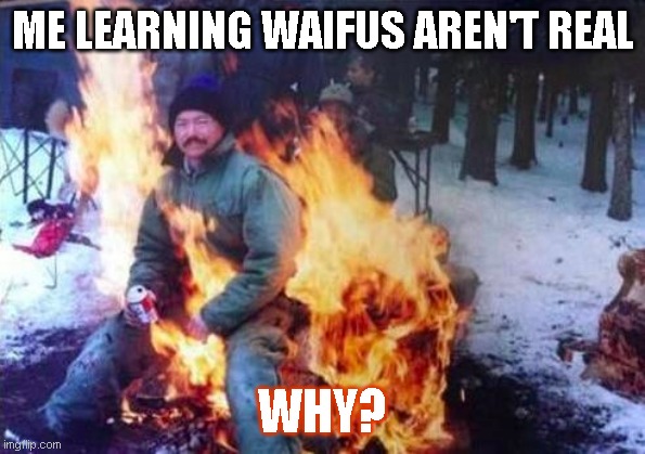 LIGAF | ME LEARNING WAIFUS AREN'T REAL; WHY? | image tagged in memes,ligaf | made w/ Imgflip meme maker