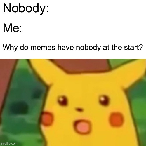 Surprised Pikachu | Nobody:; Me:; Why do memes have nobody at the start? | image tagged in memes,surprised pikachu,nobody,pikachu | made w/ Imgflip meme maker
