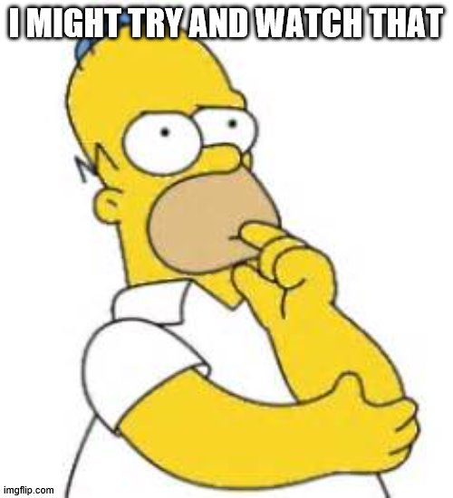 Homer Simpson Hmmmm | I MIGHT TRY AND WATCH THAT | image tagged in homer simpson hmmmm | made w/ Imgflip meme maker