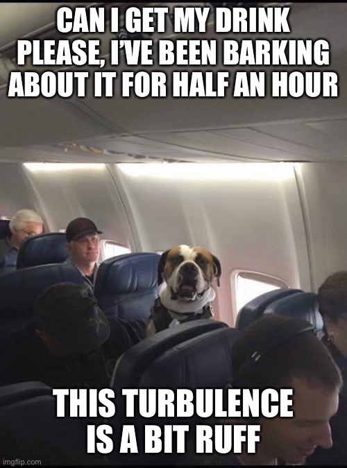 Oh dog | CAN I GET MY DRINK PLEASE, I’VE BEEN BARKING ABOUT IT FOR HALF AN HOUR; THIS TURBULENCE IS A BIT RUFF | image tagged in funny dogs | made w/ Imgflip meme maker