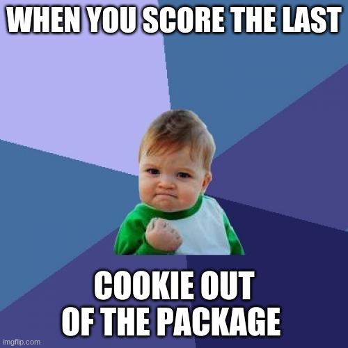 Success Kid | WHEN YOU SCORE THE LAST; COOKIE OUT OF THE PACKAGE | image tagged in memes,success kid | made w/ Imgflip meme maker