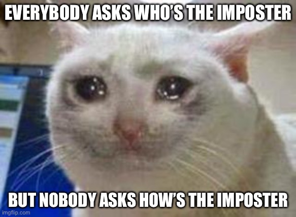 Yep | EVERYBODY ASKS WHO’S THE IMPOSTER; BUT NOBODY ASKS HOW’S THE IMPOSTER | image tagged in sad cat | made w/ Imgflip meme maker