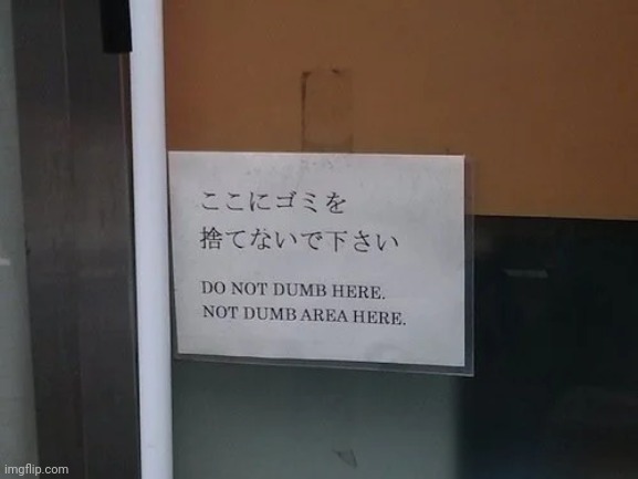 do not dumb here | image tagged in do not dumb here | made w/ Imgflip meme maker