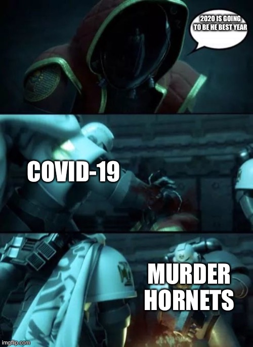 I remade my first meme | 2020 IS GOING TO BE HE BEST YEAR; COVID-19; MURDER HORNETS | image tagged in astartes,covid-19,murder hornet,2020 | made w/ Imgflip meme maker