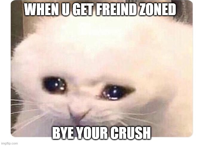 14 yr old girls | WHEN U GET FREIND ZONED; BYE YOUR CRUSH | image tagged in 14 yr old girls | made w/ Imgflip meme maker