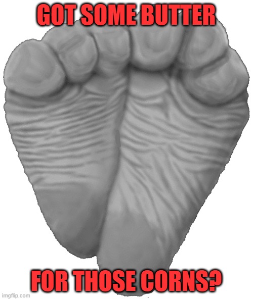 Bigger Grey Bunny Feet | GOT SOME BUTTER FOR THOSE CORNS? | image tagged in bigger grey bunny feet | made w/ Imgflip meme maker