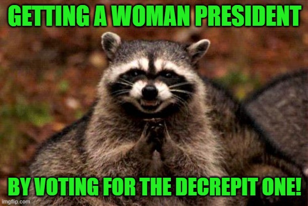 Evil Plotting Raccoon Meme | GETTING A WOMAN PRESIDENT BY VOTING FOR THE DECREPIT ONE! | image tagged in memes,evil plotting raccoon | made w/ Imgflip meme maker