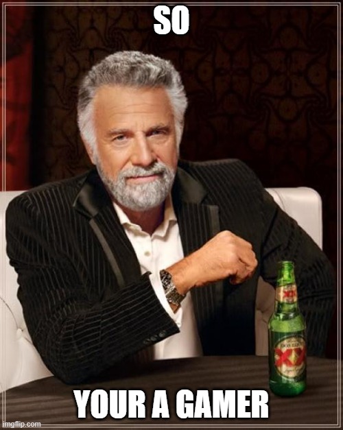so... | SO; YOUR A GAMER | image tagged in memes,the most interesting man in the world | made w/ Imgflip meme maker