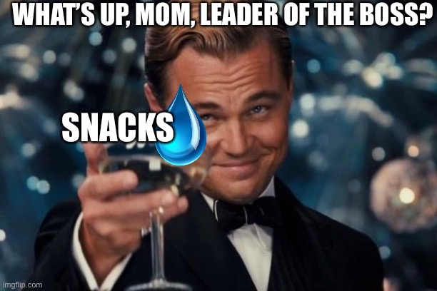 Leonardo Dicaprio Cheers Meme | WHAT’S UP, MOM, LEADER OF THE BOSS? SNACKS | image tagged in memes,leonardo dicaprio cheers | made w/ Imgflip meme maker