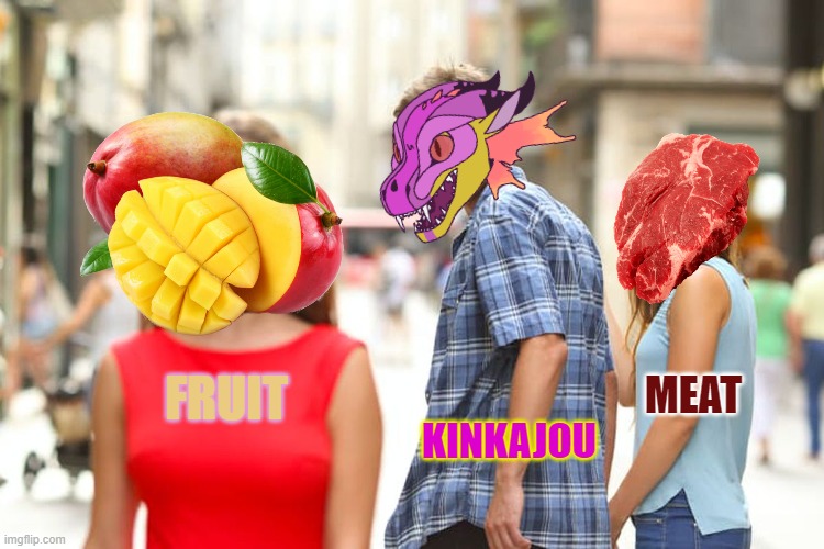 Kinkajou | MEAT; FRUIT; KINKAJOU | image tagged in wings of fire,fruit | made w/ Imgflip meme maker