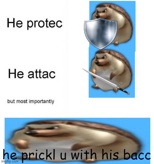 don't atacc or he prickl u with his bacc | he prickl u with his bacc | image tagged in he protec he attac but most importantly | made w/ Imgflip meme maker
