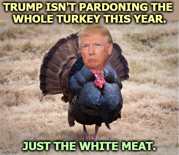Did somebody say Pardon? | TRUMP ISN'T PARDONING THE 
WHOLE TURKEY THIS YEAR. JUST THE WHITE MEAT. | image tagged in trump the ultimate turkey,trump,pardon,thanksgiving,turkey | made w/ Imgflip meme maker