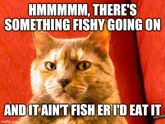 Suspicious Cat Meme | HMMMMM, THERE'S SOMETHING FISHY GOING ON; AND IT AIN'T FISH ER I'D EAT IT | image tagged in memes,suspicious cat | made w/ Imgflip meme maker