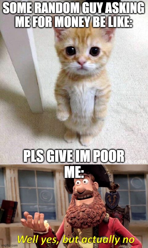 SOME RANDOM GUY ASKING ME FOR MONEY BE LIKE:; PLS GIVE IM POOR; ME: | image tagged in memes,cute cat,well yes but actually no | made w/ Imgflip meme maker