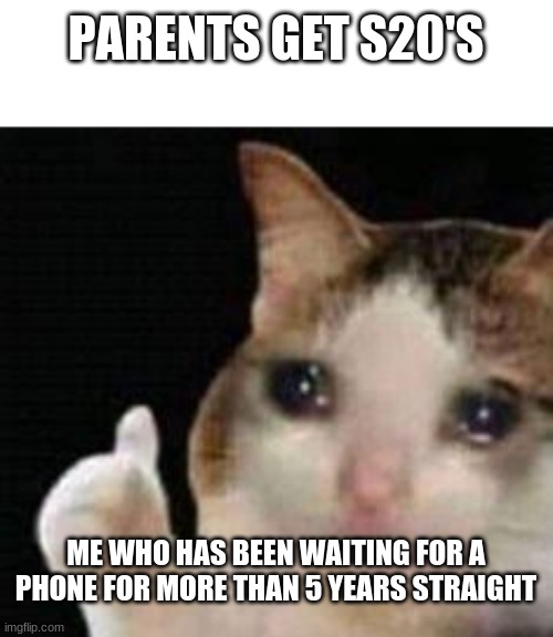 approved... | PARENTS GET S20'S; ME WHO HAS BEEN WAITING FOR A PHONE FOR MORE THAN 5 YEARS STRAIGHT | image tagged in approved crying cat,memes | made w/ Imgflip meme maker