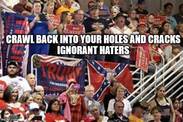 CRAWL BACK INTO YOUR HOLES AND CRACKS
IGNORANT HATERS | made w/ Imgflip meme maker