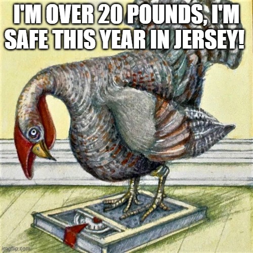 Social Distancing Turkey | I'M OVER 20 POUNDS, I'M SAFE THIS YEAR IN JERSEY! | image tagged in new jersey memory page,lisa payne,nj | made w/ Imgflip meme maker
