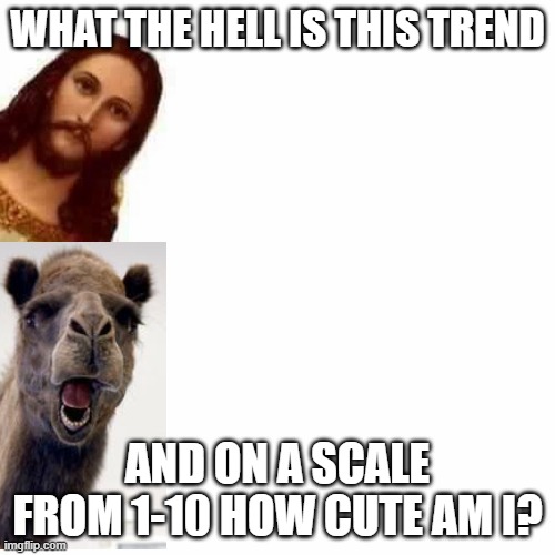 ?!? | WHAT THE HELL IS THIS TREND; AND ON A SCALE FROM 1-10 HOW CUTE AM I? | image tagged in peeking jesus | made w/ Imgflip meme maker