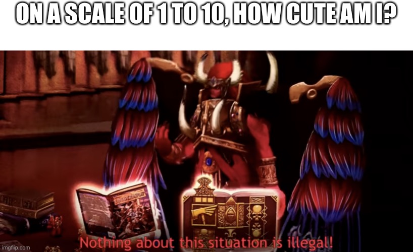 Nothing about this situation is illegal! | ON A SCALE OF 1 TO 10, HOW CUTE AM I? | image tagged in nothing about this situation is illegal | made w/ Imgflip meme maker