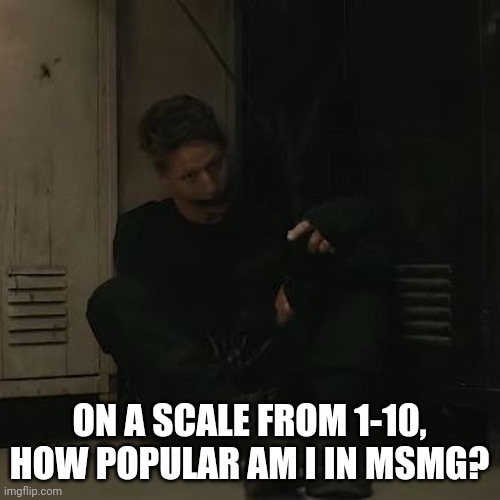 NF_FAN | ON A SCALE FROM 1-10, HOW POPULAR AM I IN MSMG? | image tagged in nf_fan | made w/ Imgflip meme maker