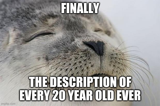 Satisfied Seal Meme | FINALLY THE DESCRIPTION OF EVERY 20 YEAR OLD EVER | image tagged in memes,satisfied seal | made w/ Imgflip meme maker