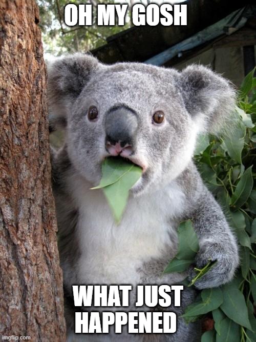 omg | OH MY GOSH; WHAT JUST HAPPENED | image tagged in memes,surprised koala | made w/ Imgflip meme maker