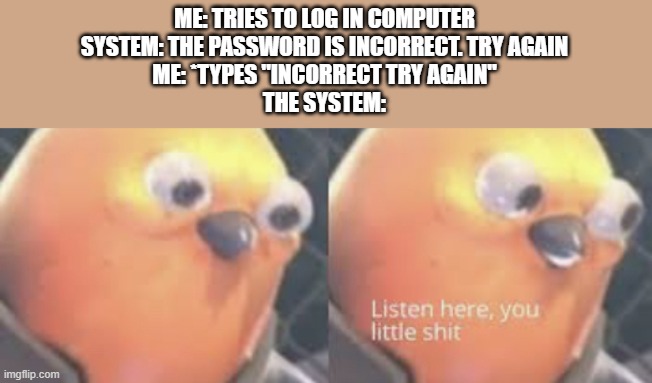 rickrolling a computer.... LOL | ME: TRIES TO LOG IN COMPUTER
SYSTEM: THE PASSWORD IS INCORRECT. TRY AGAIN
ME: *TYPES "INCORRECT TRY AGAIN"
THE SYSTEM: | image tagged in listen here you little shit bird | made w/ Imgflip meme maker