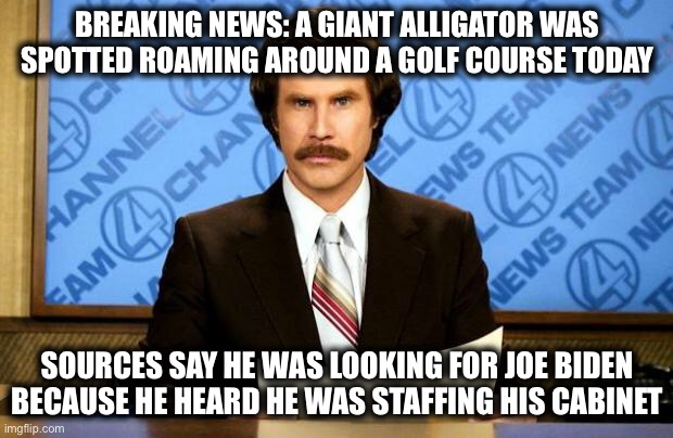 Refill the Swamp | BREAKING NEWS: A GIANT ALLIGATOR WAS SPOTTED ROAMING AROUND A GOLF COURSE TODAY; SOURCES SAY HE WAS LOOKING FOR JOE BIDEN BECAUSE HE HEARD HE WAS STAFFING HIS CABINET | image tagged in breaking news | made w/ Imgflip meme maker