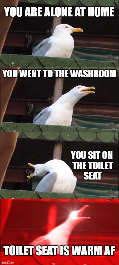 Inhaling Seagull Meme | YOU ARE ALONE AT HOME; YOU WENT TO THE WASHROOM; YOU SIT ON 
THE TOILET
SEAT; TOILET SEAT IS WARM AF | image tagged in memes,inhaling seagull | made w/ Imgflip meme maker