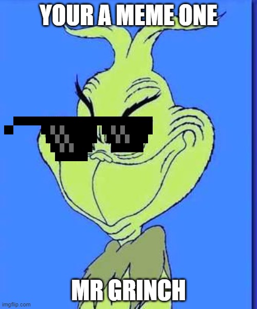 the grinch | YOUR A MEME ONE; MR GRINCH | image tagged in good grinch | made w/ Imgflip meme maker
