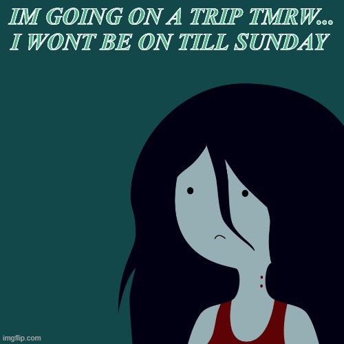 SRRY | IM GOING ON A TRIP TMRW... I WONT BE ON TILL SUNDAY | made w/ Imgflip meme maker