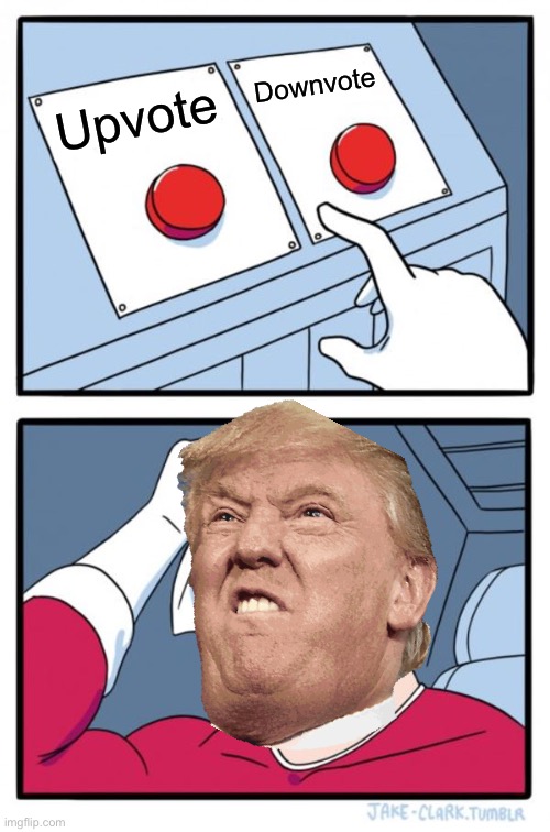 Two Buttons | Downvote; Upvote | image tagged in memes,two buttons | made w/ Imgflip meme maker