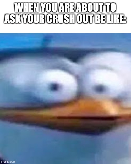 Relatable | WHEN YOU ARE ABOUT TO ASK YOUR CRUSH OUT BE LIKE: | image tagged in skipper,funny | made w/ Imgflip meme maker
