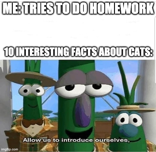 Allow us to introduce ourselves | ME: TRIES TO DO HOMEWORK; 10 INTERESTING FACTS ABOUT CATS: | image tagged in allow us to introduce ourselves | made w/ Imgflip meme maker